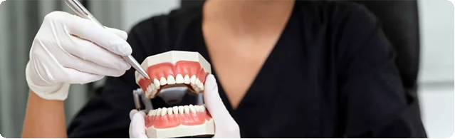 About dental dentures